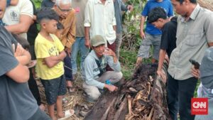 Misteri Kerangka di Aren Terkuak Pemuda Hilang