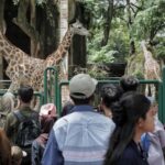 Ragunan Diserbu 113 Ribu Wisatawan Awal 2026