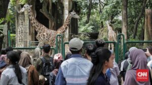 Ragunan Diserbu 113 Ribu Wisatawan Awal 2026