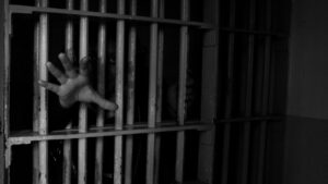 Puluhan WNA Diselamatkan dari Sarang Penipuan Kuta