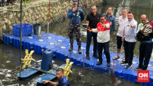 Jakarta Gempur Ikan Sapu Sapu di Lima Kota