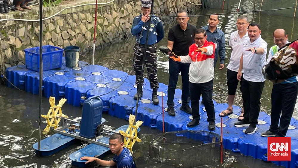 Jakarta Gempur Ikan Sapu Sapu di Lima Kota