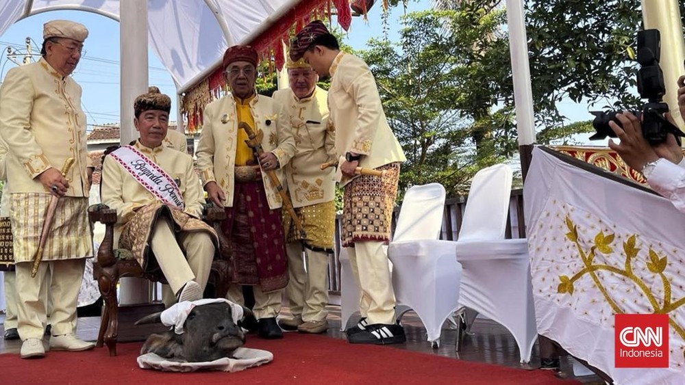 PDIP Jokowi Injak Kerbau Bukan Banteng Ternak